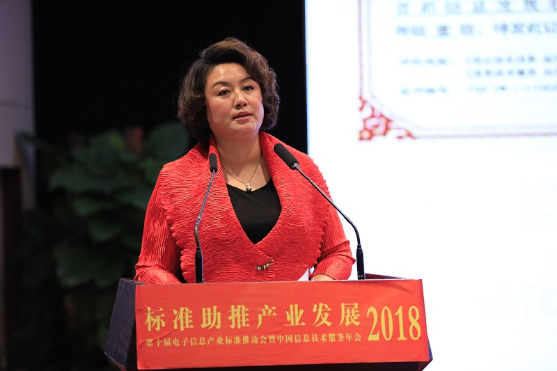 首都信息和首都信息党委书记、董事长林艳坤分别荣获2017年中国IT服务十大领军企业和十大领军人物